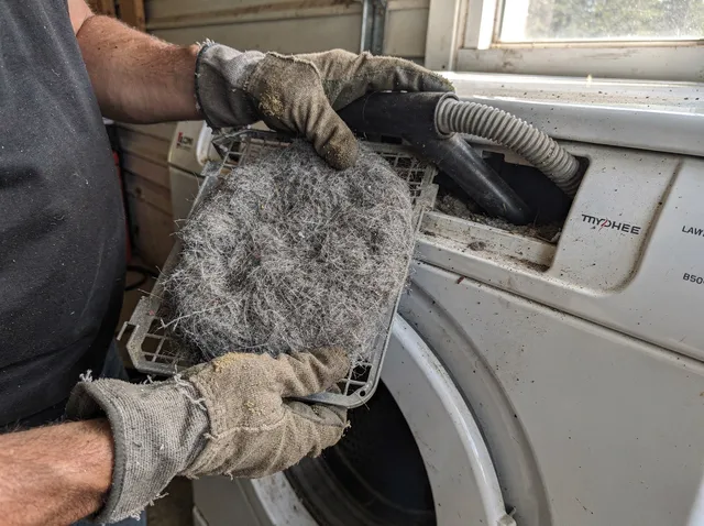 Cleaning Dryer Lint Trap in Los Angeles, CA